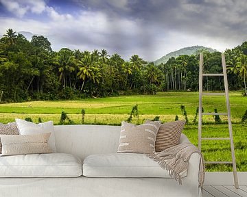 Panoramalandschap met groen rijstveld in Sri Lanka van Dieter Walther