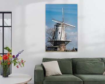 Nederlandse molen van Anita Loos