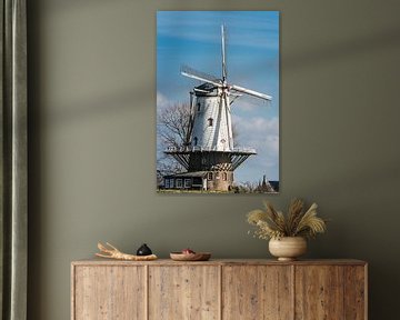 Nederlandse molen