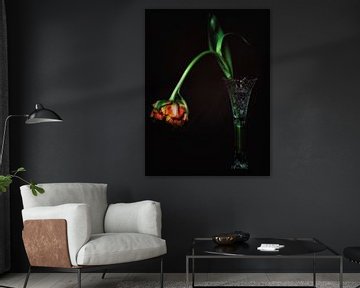 Tentorium Tulips 2 van Henk Leijen