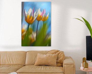 Peppige Tulpen von Hiske Boon