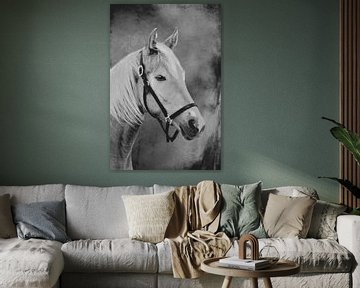 Paarden portret van Heiko Lehmann