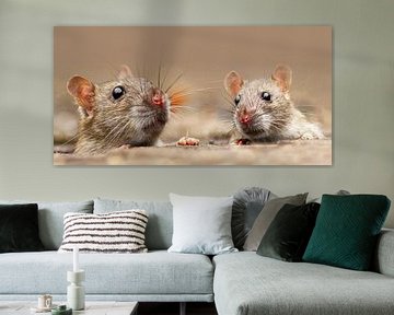 Die kleinen Ratten von Heiko Lehmann