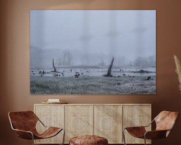 Dead trees in the water by Moetwil en van Dijk - Fotografie