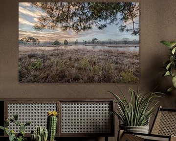 Zonsopkomst boven Overasseltse en Hatertse Vennen van Moetwil en van Dijk - Fotografie