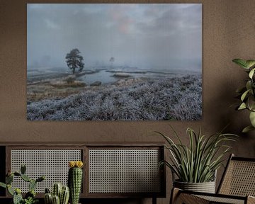 Vroege morgen bij de Overasseltse en Hatertse Vennen van Moetwil en van Dijk - Fotografie