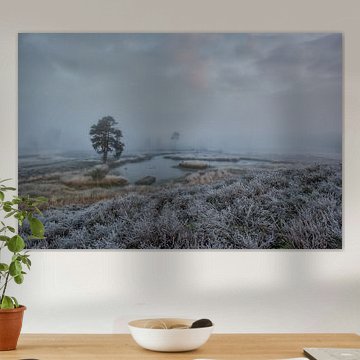 Early morning at the Overasseltse en Hatertse Vennen