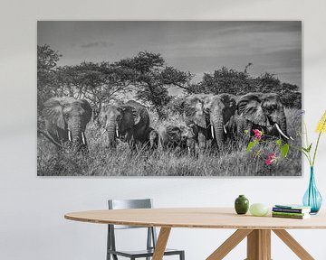 Threatening herd of elephants with young in black and white by Erwin Floor