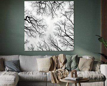 Silhouette von Bäumen von Klaartje Majoor