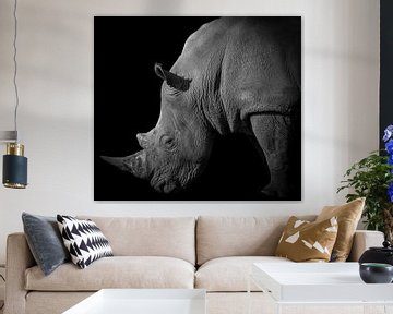 Neushoorn portret in zwart-wit sur Marjolein van Middelkoop