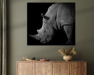 Neushoorn portret in zwart-wit