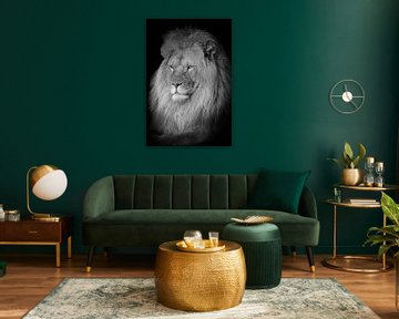 Löwe Porträt in schwarz und weiß von Marjolein van Middelkoop