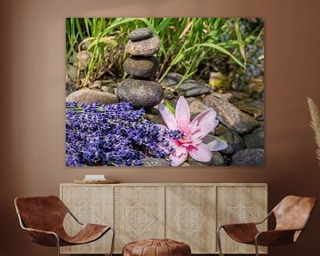 Lotusblume mit Balancesteinen Hintergrund von Animaflora PicsStock