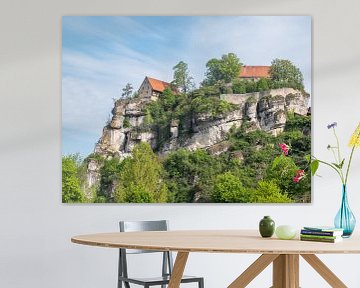 Burg Pottenstein in der Fränkischen Schweiz von Animaflora PicsStock