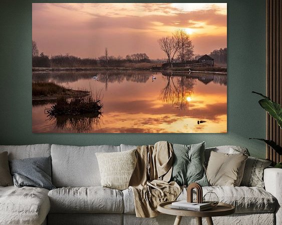 Aperçu de la chambre