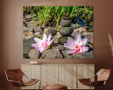 Balancesteine und Blumen Wellness Hintergrund van Animaflora PicsStock