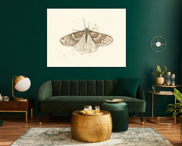 Winter moth by Marieke Nelissen