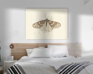 Grote Wintervlinder van Marieke Nelissen