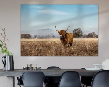 Schotse hooglander koe op de heide van KB Design & Photography (Karen Brouwer)