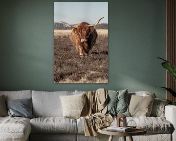 Schottische Highlander-Kuh auf der Heide von KB Design & Photography (Karen Brouwer)