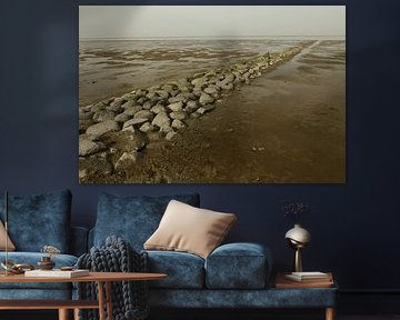Petite jetée sur le wadden frison sur Pim van der Horst