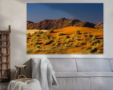 Namib Desert by Peter Michel