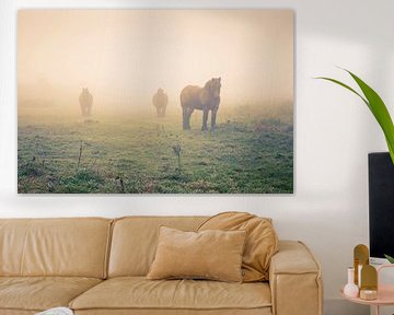 Horses in the fog by Marcel Bakker