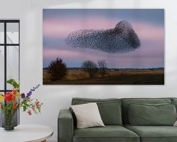 Starling cloud above the 't Roegwold by Marga Vroom