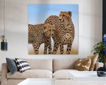Les frères Cheetah sur Peter Michel