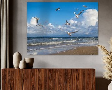 Seagulls on the beach of Sankt Peter-Ording by Animaflora PicsStock