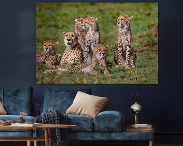 Cheetah familie van Peter Michel