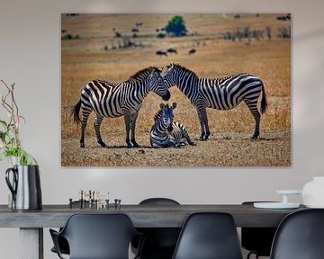 3 zebra's van Peter Michel