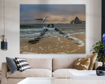 Strand von Heringsdorf auf Usedom an der Ostsee von Animaflora PicsStock