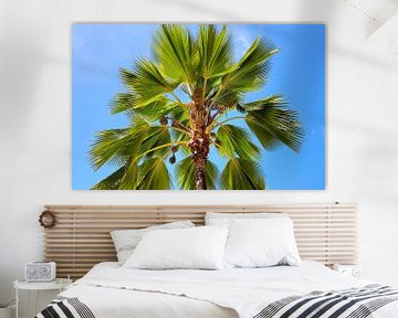 Tropische palmboom tegen blauwe hemel van MPfoto71