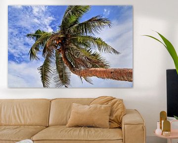 Tropische palmboom voor een zomerse hemel van MPfoto71