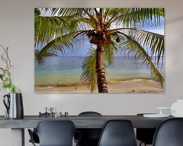 Uitzicht door een palmboom op het strand van de Seychellen van MPfoto71