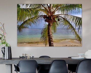 View through a palm tree on the beach of the Seychelles