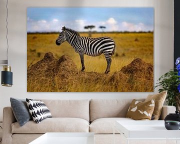 Burchell Zebra van Peter Michel