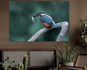 Kingfisher with a fish by Christien van der Veen Fotografie