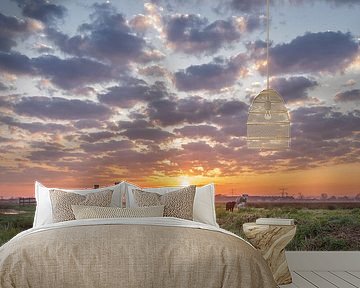 Schafe zwischen den Schafswolken im Polder