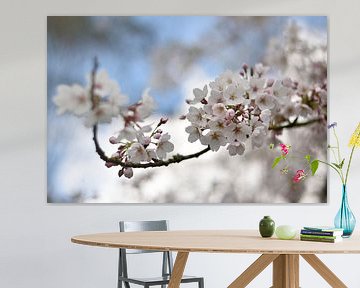 Sakura kersenbloesem in de lente - pastel natuurfotografie van Christa Stroo fotografie