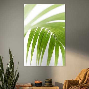 Palm leaf