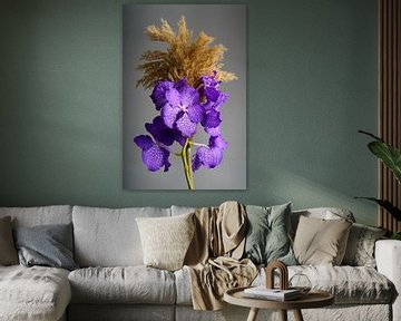 Orchid with purple color by Björn van den Berg