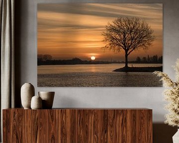 Hollands rivierenlandschap: zonsopkomst bij boom van Moetwil en van Dijk - Fotografie