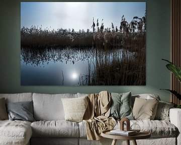 Reflektionen von Schilfrohrfahnen in einem Teich