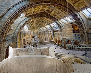 Museum of Natural History in London by Dieter Meyrl