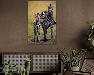 Zebra mama met jong van Peter Michel