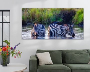 Zebras bei Abkühlung von Peter Michel