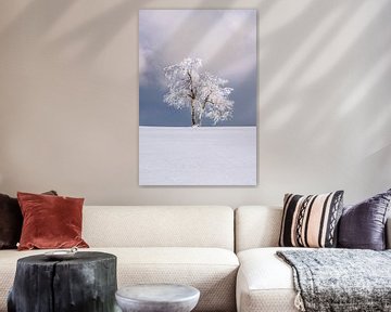 Eenzame boom in een winters landschap van Deimel Fotografie