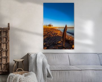Feather on the beach by Oguz Özdemir